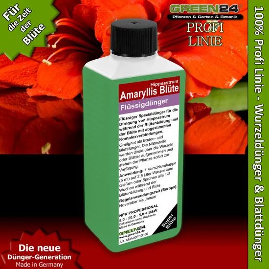 Amaryllis-Dünger Hippeastrum düngen für die Blüte 250ml