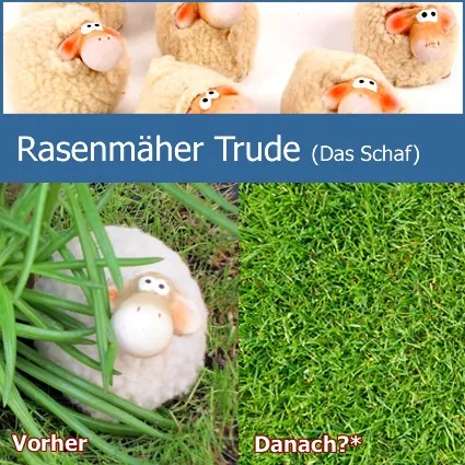 Rasenmäher und Pflegehilfe Trude