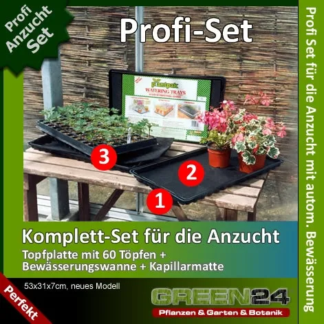 Anzuchtset Pro 60, automatische Bewässerung (53,0 x 31,0 cm) (Typ G24)