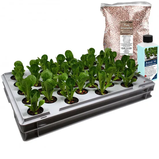 Aqua 36-B Pro Hydroponic Anzucht-System XL 40 x 60 cm, für Nutzpflanzen, Gemüse, Kräuter, Salate, Zierpflanzen in Tiefwasserkultur (DWC)