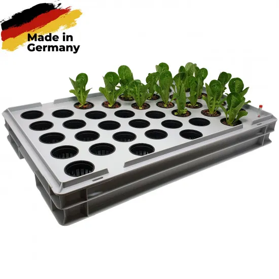 Aqua 36-B Pro Hydroponic Anzucht-System XL 40 x 60 cm, für Nutzpflanzen, Gemüse, Kräuter, Salate, Zierpflanzen in Tiefwasserkultur (DWC)