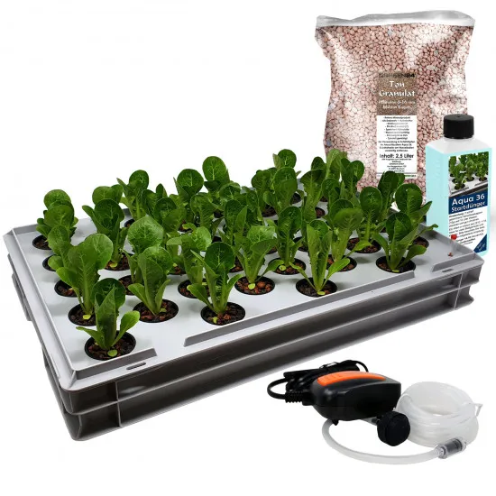 Aqua 36-C Pro Hydroponic Anzucht-System XL 40 x 60 cm, für Nutzpflanzen, Gemüse, Kräuter, Salate, Zierpflanzen in Tiefwasserkultur (DWC)