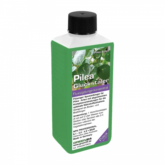 Pilea-Dünger - Pilea peperomioides Flüssigdünger - 250ml Konzentrat für glückliche, kräftige Pflanzen 250ml