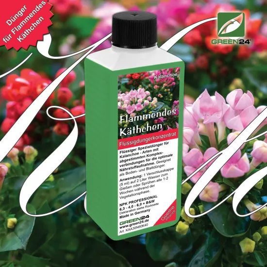 Kalanchoe-Dünger - Flüssiger NPK Dünger für Flammendes Käthchen und Goethe-Pflanze 250 ml