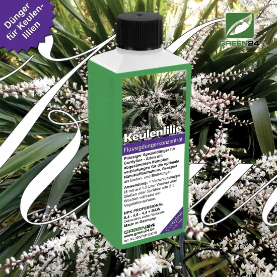 Keulenlilie-Dünger - Cordyline indivisa Flüssigdünger für kräftiges Wachstum 250ml