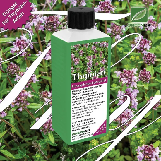 Thymian-Dünger - Thymus vulgaris, Quendel, Kuttelkraut Flüssigdünger 250ml