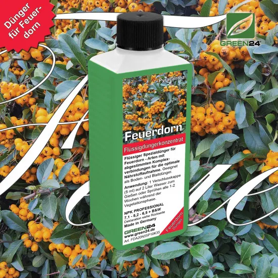 Feuerdorn-Dünger – Pyracantha Flüssigdünger – 250ml Super-Konzentrat