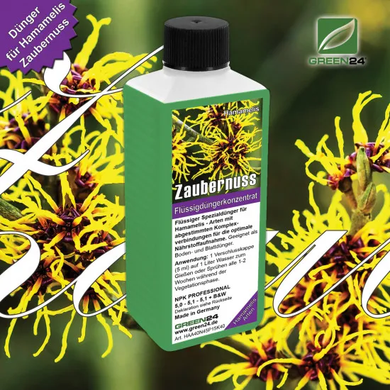 Zaubernuss-Dünger - Hamamelis mollis, japonica, virginiana, vernalis, ovalis - 250ml Super-Konzentrat