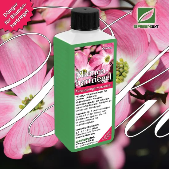 Blumenhartriegel-Dünger - Cornus kousa Flüssigdünger für Blüten-Hartriegel - NPK 250 ml